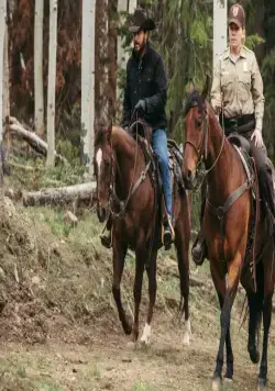 Йеллоустоун (2018) 1-5 сезон 1-12,13,14 серия смотреть онлайн Йеллоустоун (2018) сериал 1-12,13,14 серию 1-5 сезона смотреть онлайн