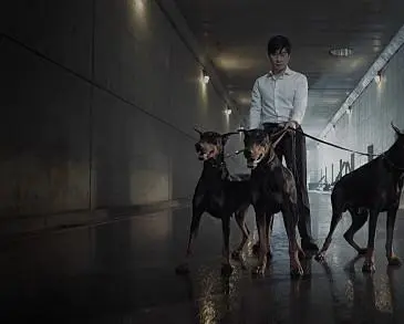 Плохие парни (2014) 1-2 сезон 1-14,15,16 серия смотреть онлайн Плохие парни (2014) сериал 1-14,15,16 серию 1-2 сезона смотреть онлайн