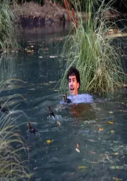 Сумасшедшие (2013) в хорошем качестве смотреть онлайн Сумасшедшие (2013) сериал в хорошем качестве смотреть онлайн