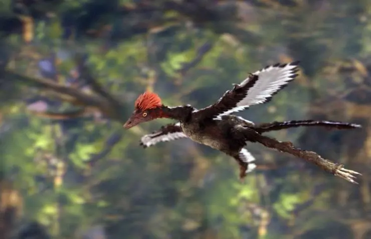 Восстание животных: Триумф позвоночных (2013) смотреть онлайн бесплатно Восстание животных: Триумф позвоночных (2013) сериал смотреть онлайн бесплатно