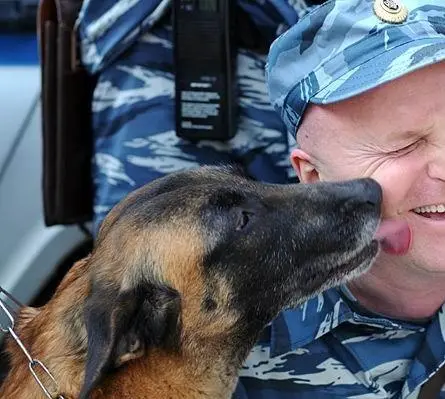 Всё к лучшему (2010) 1 сезон 1-259,260,261 серия смотреть онлайн бесплатно Всё к лучшему (2010) сериал 1-259,260,261 серию 1 сезона смотреть онлайн бесплатно