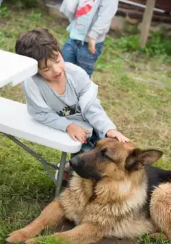 Сладкая жизнь (2014) 1-3 сезон 1-5,6,7 серия в хорошем качестве смотреть онлайн Сладкая жизнь (2014) сериал 1-5,6,7 серию 1-3 сезона в хорошем качестве смотреть онлайн