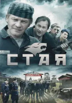 Стая (2009) cериал смотреть онлайн Стая (2009) cериал смотреть онлайн в хорошем качестве