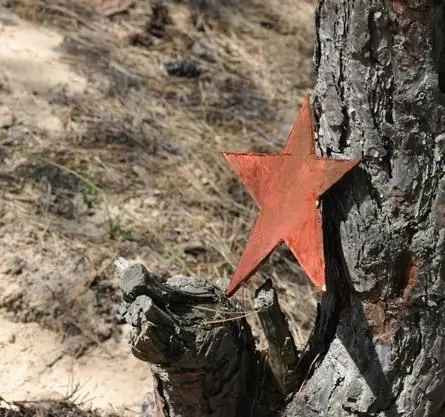 Баллада о бомбере (2011) 1 сезон 1-6,7,8 серия смотреть онлайн бесплатно Баллада о бомбере (2011) сериал 1-6,7,8 серию 1 сезона смотреть онлайн бесплатно