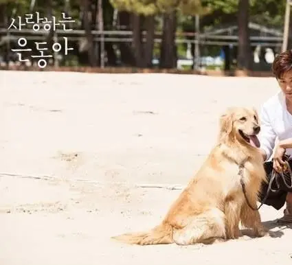 Моя любовь Ын-дон (2015) смотреть онлайн бесплатно Моя любовь Ын-дон (2015) сериал смотреть онлайн бесплатно