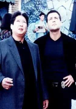 Китайский городовой (1998) 1-2 сезон 1-21,22,23 серия смотреть онлайн Китайский городовой (1998) сериал 1-21,22,23 серию 1-2 сезона смотреть онлайн