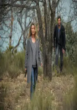 Исчезновение на берегу озера (2015) смотреть онлайн бесплатно Исчезновение на берегу озера (2015) сериал смотреть онлайн бесплатно