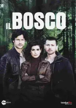 Лес / Il bosco (2015) cериал смотреть онлайн Лес / Il bosco (2015) cериал смотреть онлайн в хорошем качестве