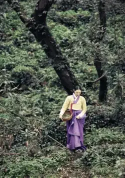 Книга семьи Гу (2013) в хорошем качестве смотреть онлайн Книга семьи Гу (2013) сериал в хорошем качестве смотреть онлайн