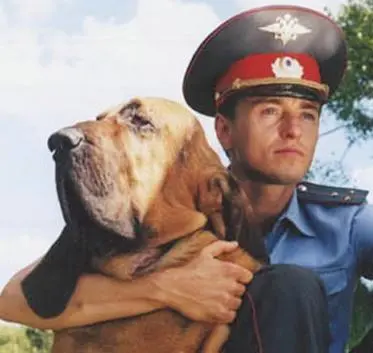 Участок (2003) 1 сезон 1-10,11,12 серия смотреть онлайн бесплатно Участок (2003) сериал 1-10,11,12 серию 1 сезона смотреть онлайн бесплатно