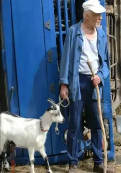 Дальнобойщики 3. Десять лет спустя (2011) смотреть онлайн Дальнобойщики 3. Десять лет спустя (2011) сериал смотреть онлайн