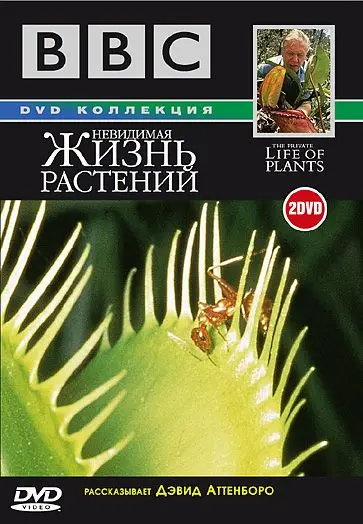 BBC: Невидимая жизнь растений / The Private Life of Plants (1995) cериал смотреть онлайн BBC: Невидимая жизнь растений / The Private Life of Plants (1995) cериал смотреть онлайн в хорошем качестве