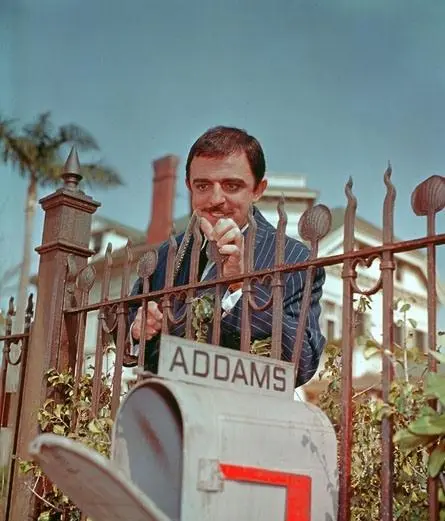 Семейка Аддамс (1964) в хорошем качестве смотреть онлайн Семейка Аддамс (1964) сериал в хорошем качестве смотреть онлайн