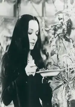 Семейка Аддамс (1964) смотреть онлайн бесплатно Семейка Аддамс (1964) сериал смотреть онлайн бесплатно