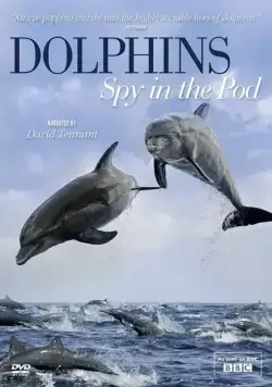 Дельфины скрытой камерой / Dolphins: Spy in the Pod (2014) cериал смотреть онлайн Дельфины скрытой камерой / Dolphins: Spy in the Pod (2014) cериал смотреть онлайн в хорошем качестве