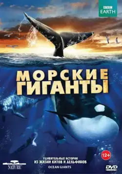 BBC: Морские гиганты / Ocean Giants (2011) cериал смотреть онлайн BBC: Морские гиганты / Ocean Giants (2011) cериал смотреть онлайн в хорошем качестве