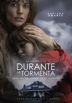 Во время грозы / Durante la tormenta (2018) фильм смотреть онлайн Во время грозы / Durante la tormenta (2018) фильм смотреть онлайн в хорошем качестве