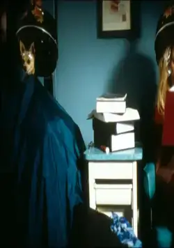 Блондинка в законе (2001) в хорошем качестве смотреть онлайн Блондинка в законе (2001) фильм в хорошем качестве смотреть онлайн