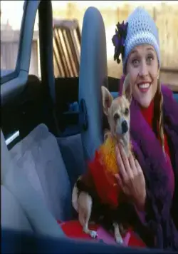 Блондинка в законе (2001) смотреть онлайн бесплатно Блондинка в законе (2001) фильм смотреть онлайн бесплатно