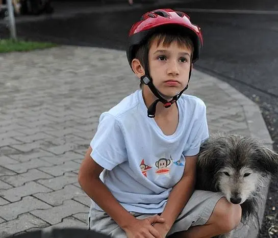 Куки возвращается (2010) смотреть онлайн Куки возвращается (2010) мультфильм смотреть онлайн