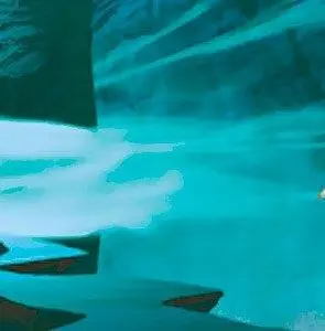 Сон в летнюю ночь (2005) смотреть онлайн Сон в летнюю ночь (2005) мультфильм смотреть онлайн