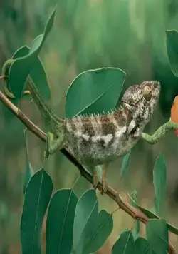 Генезис (2004) в хорошем качестве смотреть онлайн Генезис (2004) фильм в хорошем качестве смотреть онлайн