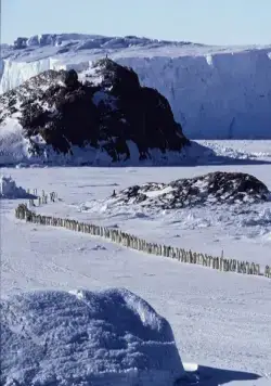 Птицы 2: Путешествие на край света (2004) в хорошем качестве смотреть онлайн Птицы 2: Путешествие на край света (2004) фильм в хорошем качестве смотреть онлайн