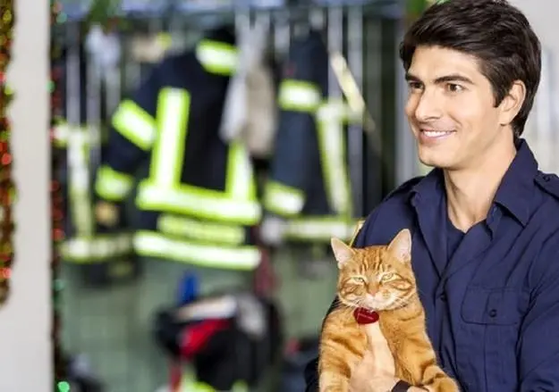 Девять жизней Рождества (2014) смотреть онлайн Девять жизней Рождества (2014) фильм смотреть онлайн