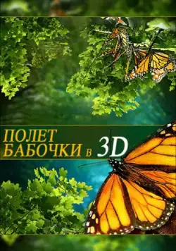 Полет бабочки 3D / Flight of the Monarch Butterfly 3D (2012) фильм смотреть онлайн Полет бабочки 3D / Flight of the Monarch Butterfly 3D (2012) фильм смотреть онлайн в хорошем качестве