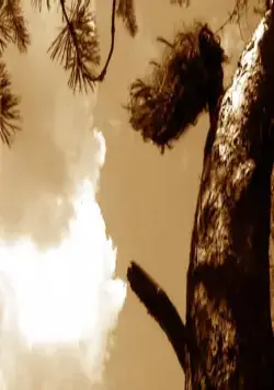 Убитые молнией (2002) смотреть онлайн Убитые молнией (2002) фильм смотреть онлайн