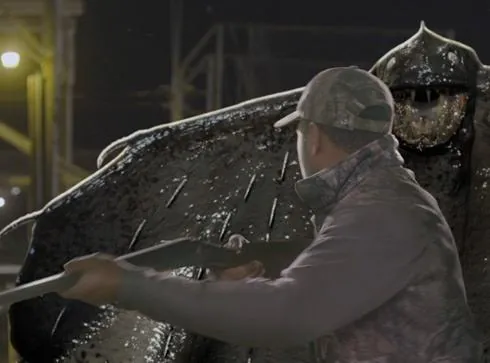 Чудовища Берингова моря (2013) смотреть онлайн бесплатно Чудовища Берингова моря (2013) фильм смотреть онлайн бесплатно