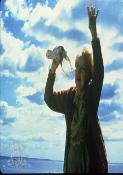 Августовские киты (1987) в хорошем качестве смотреть онлайн Августовские киты (1987) фильм в хорошем качестве смотреть онлайн