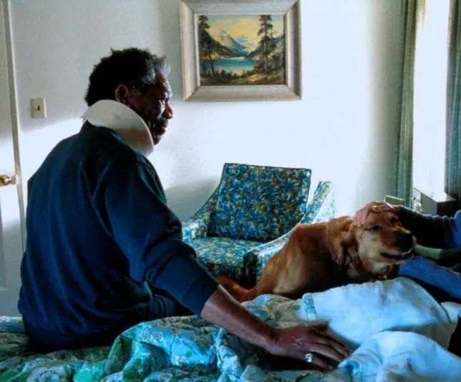 Особо тяжкие преступления (2002) в хорошем качестве смотреть онлайн Особо тяжкие преступления (2002) фильм в хорошем качестве смотреть онлайн