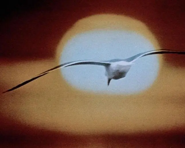 Чайка по имени Джонатан Ливингстон (1973) в хорошем качестве смотреть онлайн Чайка по имени Джонатан Ливингстон (1973) фильм в хорошем качестве смотреть онлайн