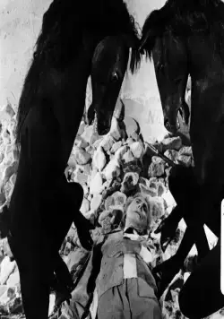 Завещание Орфея (1960) смотреть онлайн Завещание Орфея (1960) фильм смотреть онлайн