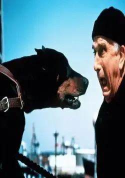 Голый пистолет 2 1/2: Запах страха (1991) в хорошем качестве смотреть онлайн Голый пистолет 2 1/2: Запах страха (1991) фильм в хорошем качестве смотреть онлайн