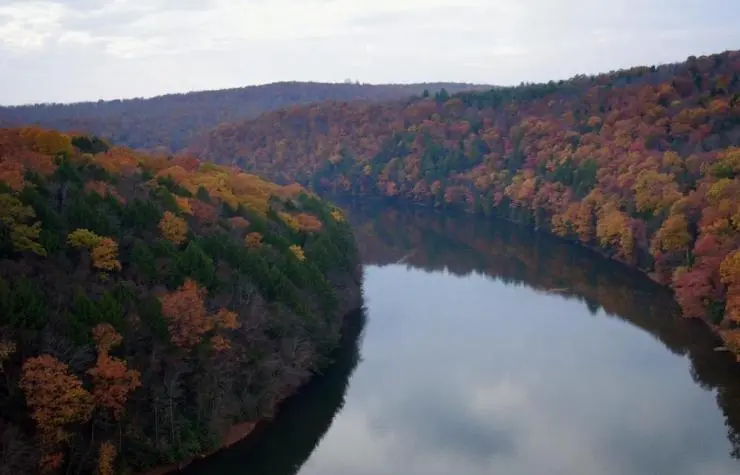 Бойся (2017) смотреть онлайн Бойся (2017) фильм смотреть онлайн