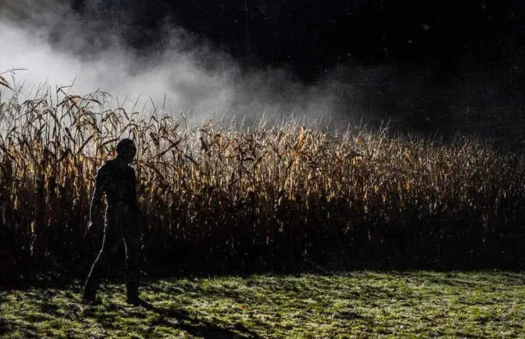 Бойся (2017) смотреть онлайн бесплатно Бойся (2017) фильм смотреть онлайн бесплатно