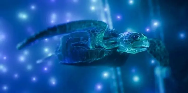 Гибриды (2017) смотреть онлайн бесплатно Гибриды (2017) мультфильм смотреть онлайн бесплатно