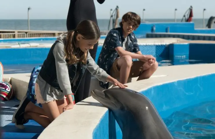 Дельфин Берни (2018) в хорошем качестве смотреть онлайн Дельфин Берни (2018) фильм в хорошем качестве смотреть онлайн