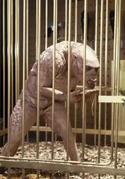 Врата 2: Нарушители (1990) в хорошем качестве смотреть онлайн Врата 2: Нарушители (1990) фильм в хорошем качестве смотреть онлайн