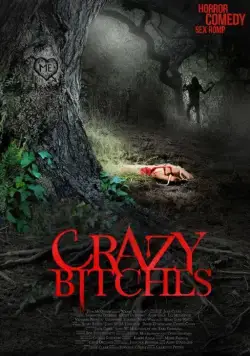 Сумасшедшие суки / Crazy Bitches (2014) фильм смотреть онлайн Сумасшедшие суки / Crazy Bitches (2014) фильм смотреть онлайн в хорошем качестве