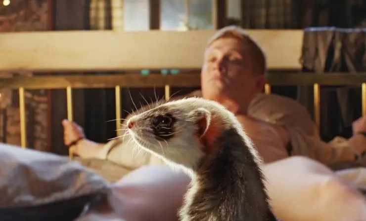 Отцовство (2014) смотреть онлайн Отцовство (2014) фильм смотреть онлайн