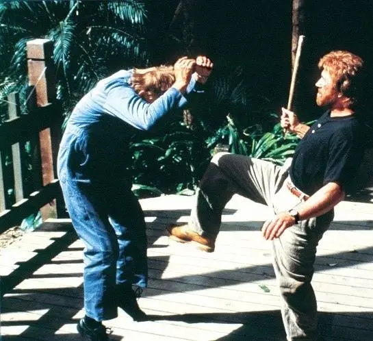 Главная собака (1995) смотреть онлайн бесплатно Главная собака (1995) фильм смотреть онлайн бесплатно