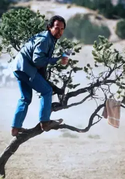 Городские пижоны (1991) смотреть онлайн бесплатно Городские пижоны (1991) фильм смотреть онлайн бесплатно