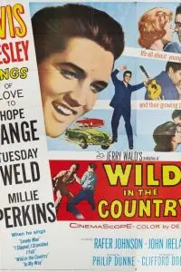 Одиночка / Wild in the Country (1961) фильм смотреть онлайн в хорошем качестве