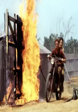 Динозавр: Тайна затерянного мира (1985) в хорошем качестве смотреть онлайн Динозавр: Тайна затерянного мира (1985) фильм в хорошем качестве смотреть онлайн