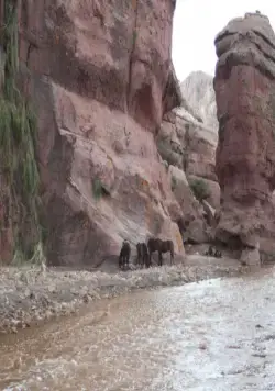 Блэкторн (2011) смотреть онлайн Блэкторн (2011) фильм смотреть онлайн