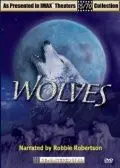 Волки / Wolves (1999) фильм смотреть онлайн Волки / Wolves (1999) фильм смотреть онлайн в хорошем качестве