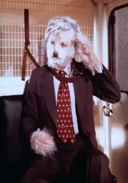 Лохматый прокурор (1976) смотреть онлайн бесплатно Лохматый прокурор (1976) фильм смотреть онлайн бесплатно